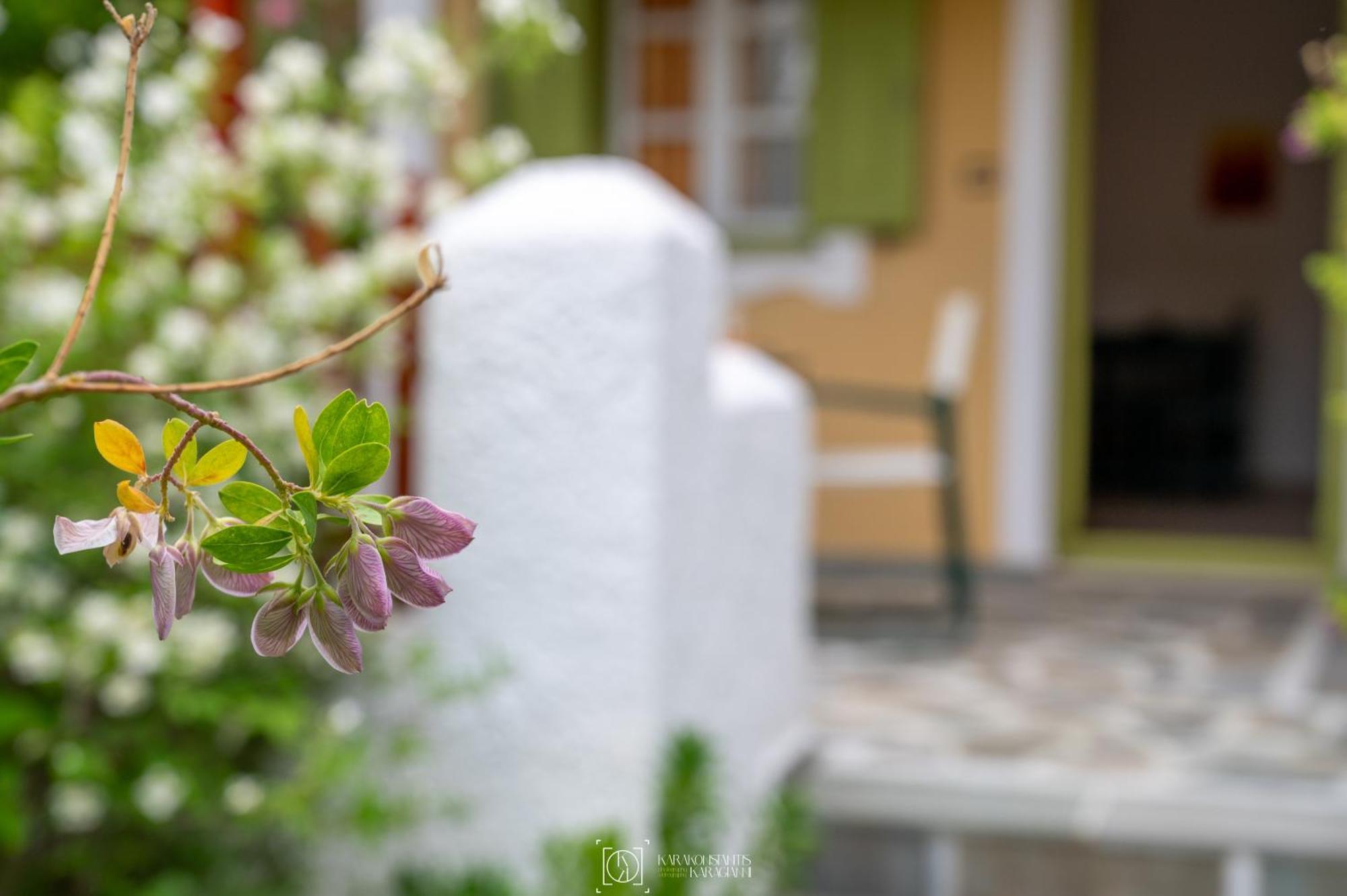 Pleiades Samos Apartment Marathokampos Luaran gambar